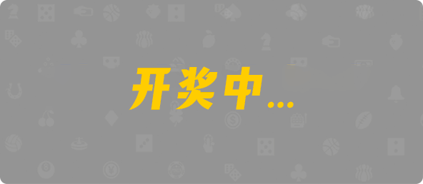 加拿大西28,大小,鹤舞算法,加拿大28,查询,预测,结果,组合